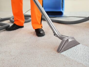 Dry Cleaner's Employee Removing Dirt From Carpet In Flat