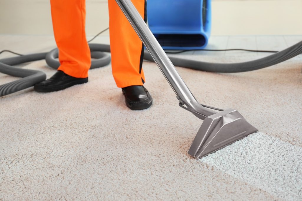 Dry Cleaner's Employee Removing Dirt From Carpet In Flat